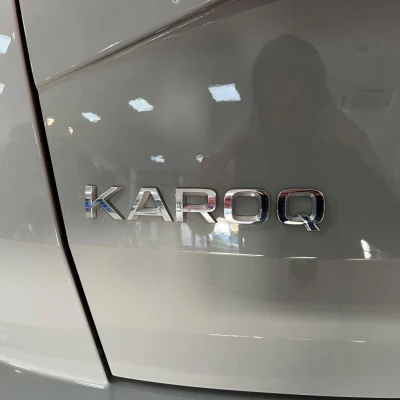 Karoq 2.0 TDI 116 ch SCR DSG7  Business - photo 13/69